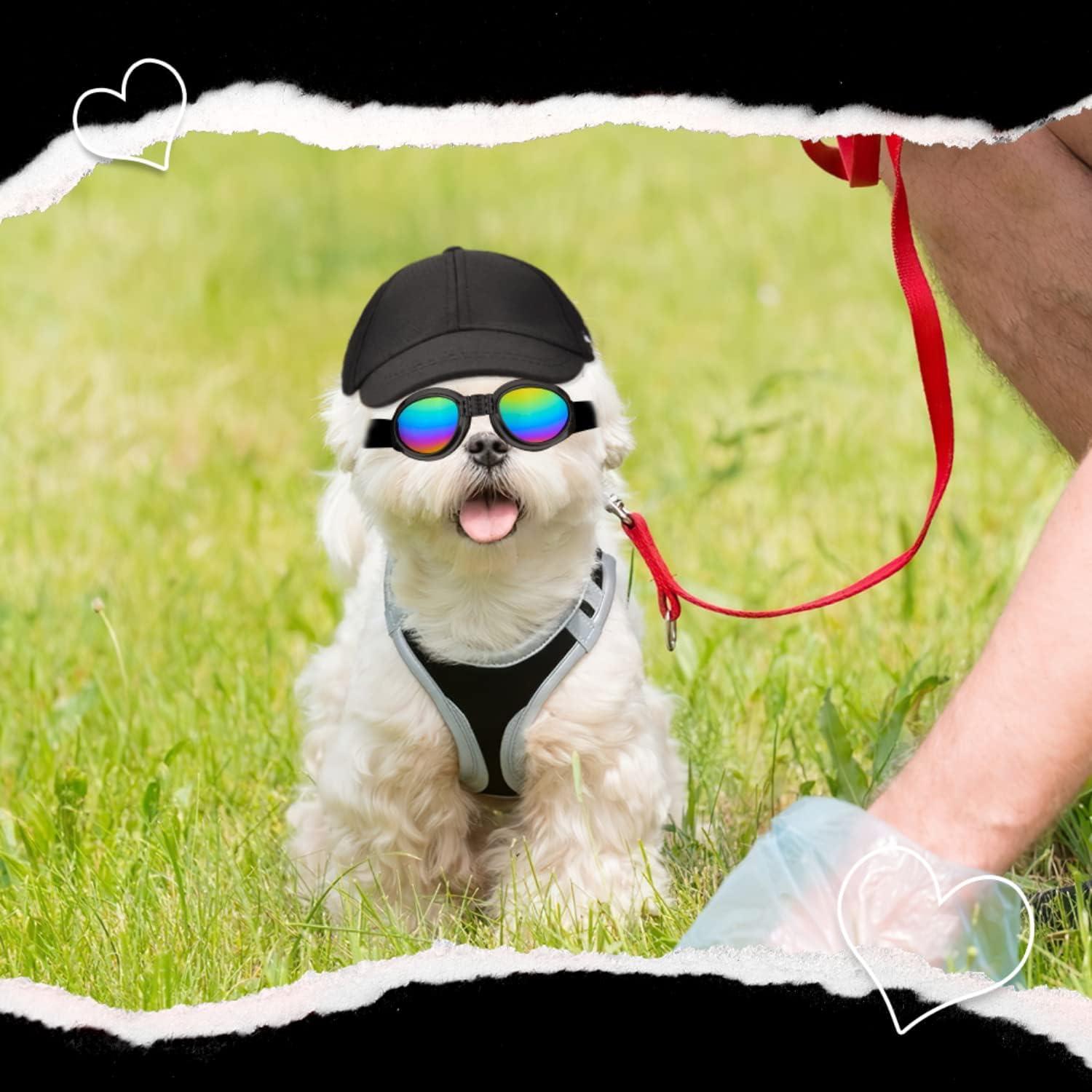 Dog Hat for Small Dogs Girl Boy Hats for Dogs Adjustable Dog Bucket Hat  Puppy Sun Hat Spring Summer Pet Baseball Cap Doggy Visor with Ear Holes and  Chin Strap for Dog