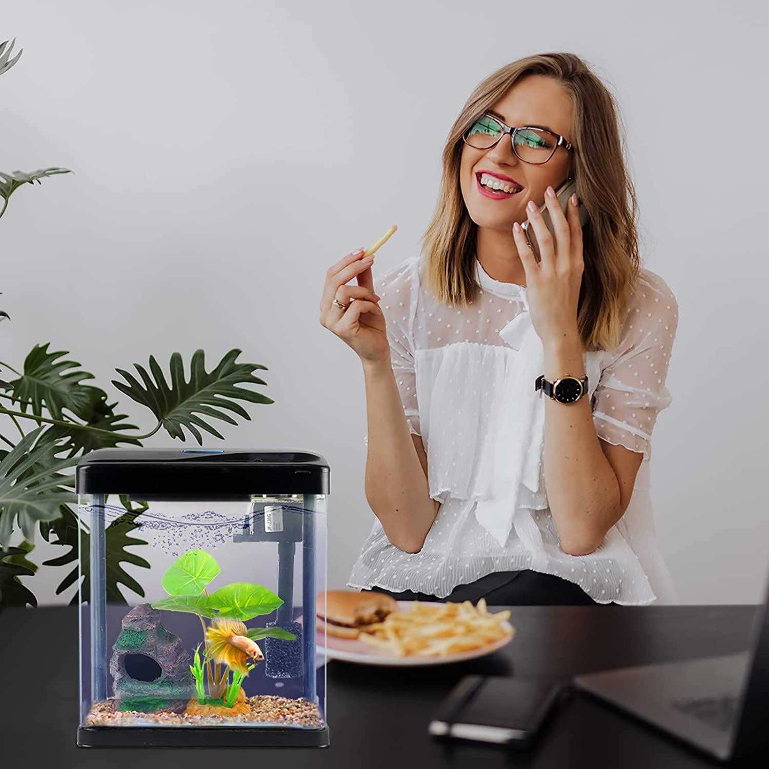 Smallest betta fish top