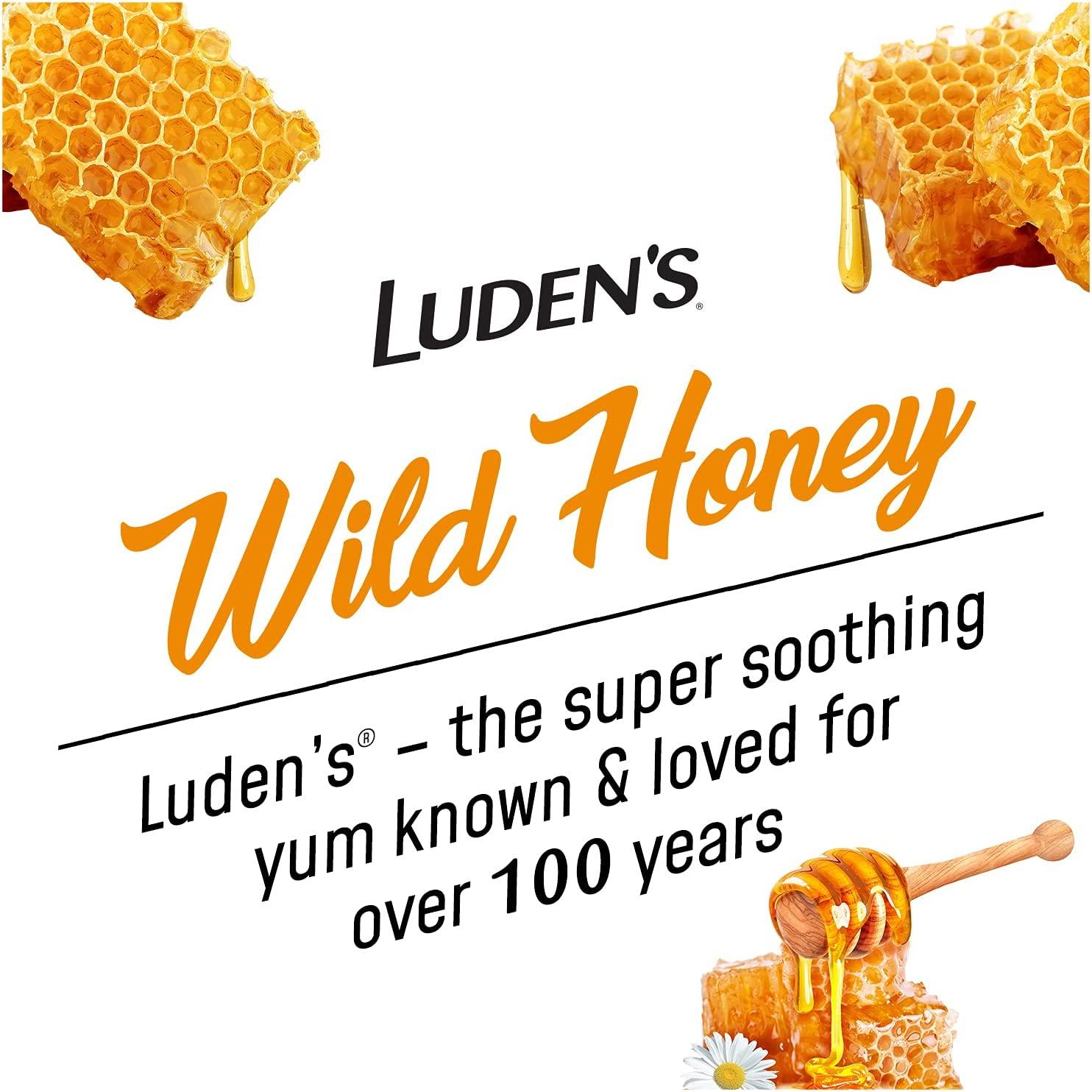 Luden's Pectin Lozenge with Wild Honey 30 Oral Demulcent Throat Drops