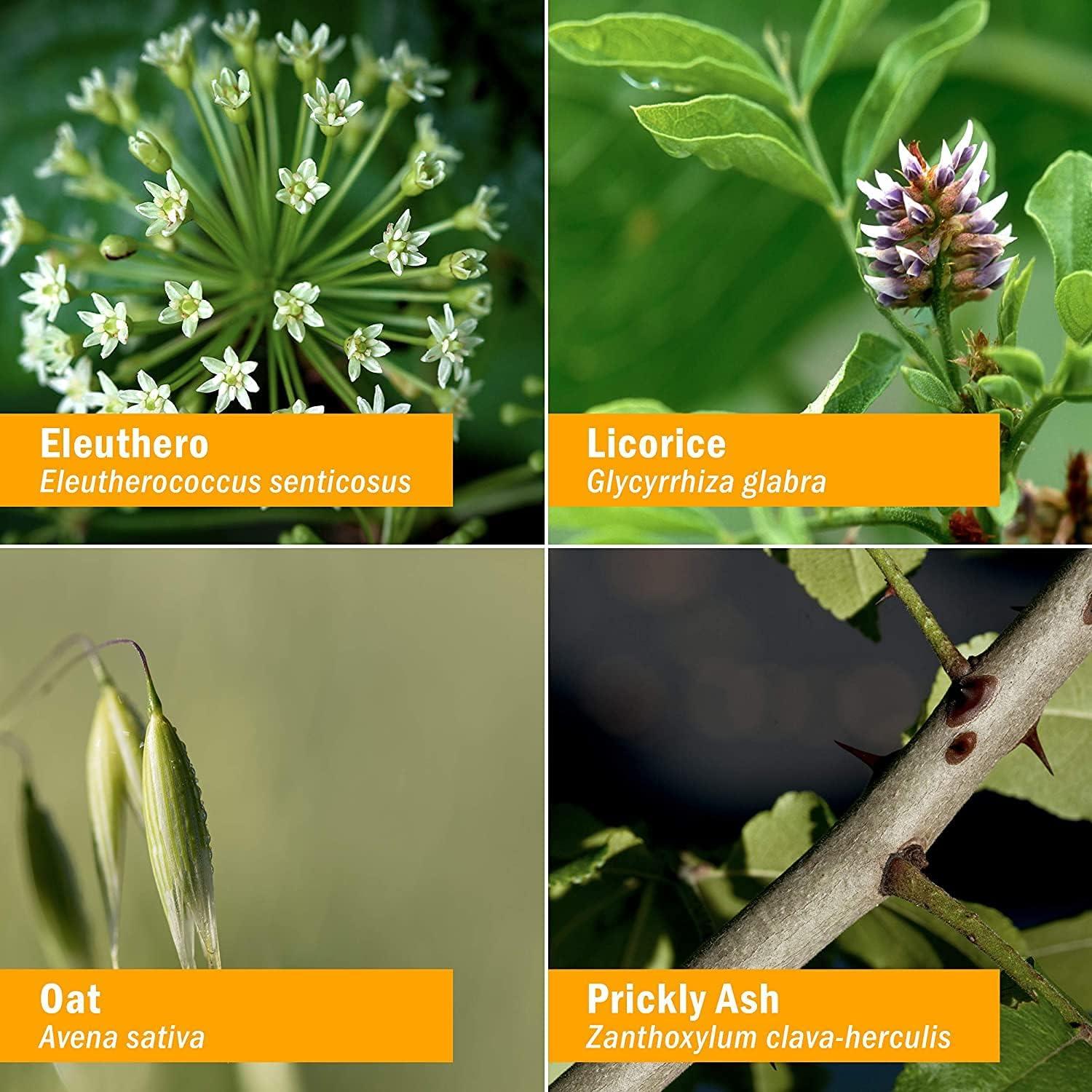 Herb Pharm Adrenal Support Liquid Herbal Formula with Eleuthero and