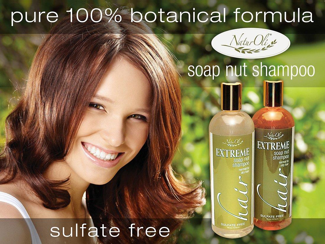 NaturOli Extreme Soap Nut Shampoo Normal to Dry Hair 16 oz (474 ml)