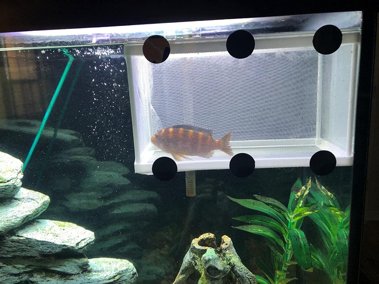 Large Fish Breeder Net with Suction Cups,Nylon Mesh Fish Fry Hatchery