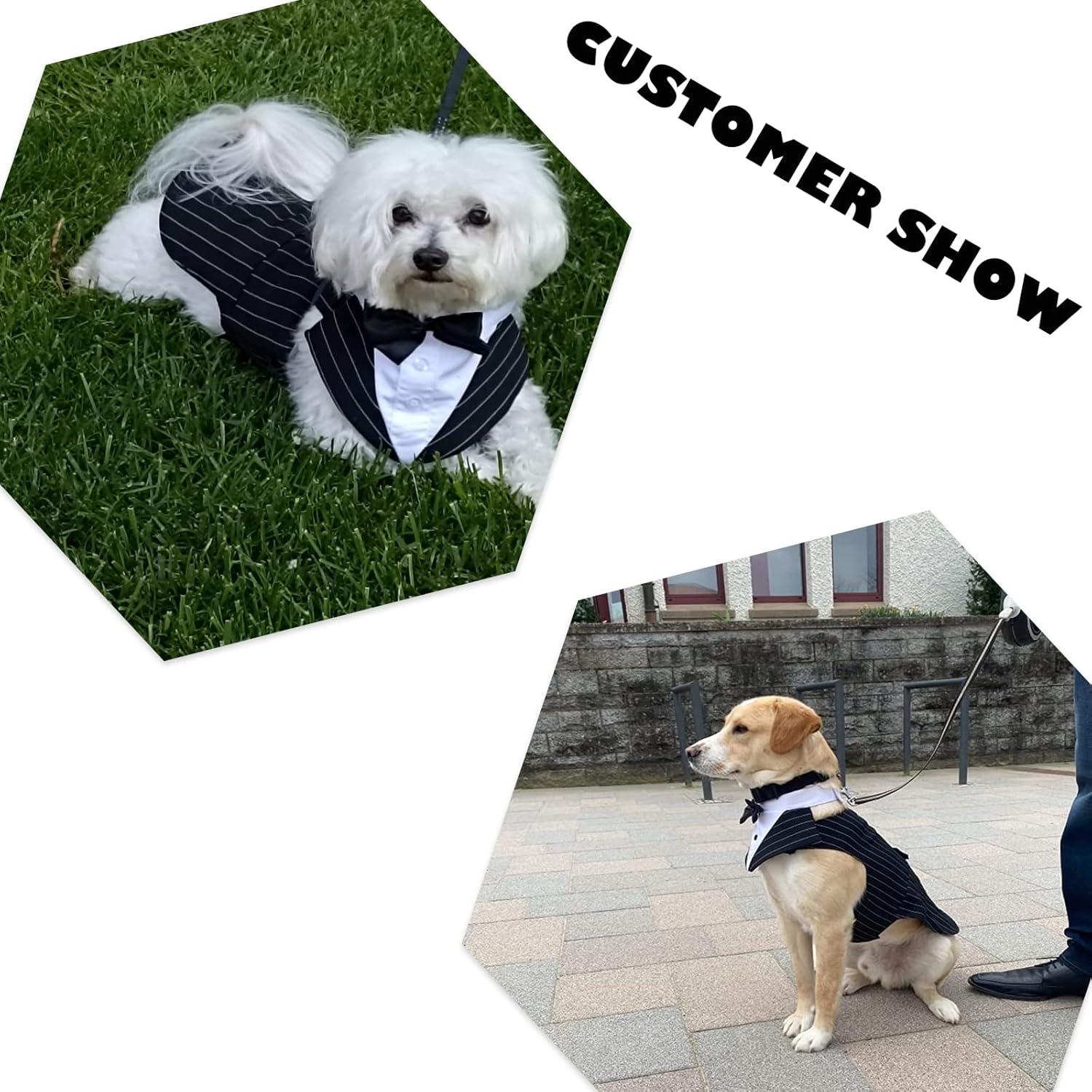 Dog Tuxedo Outfit for Weddings | Stylish Smoking Suit for Small to XXL Dogs 