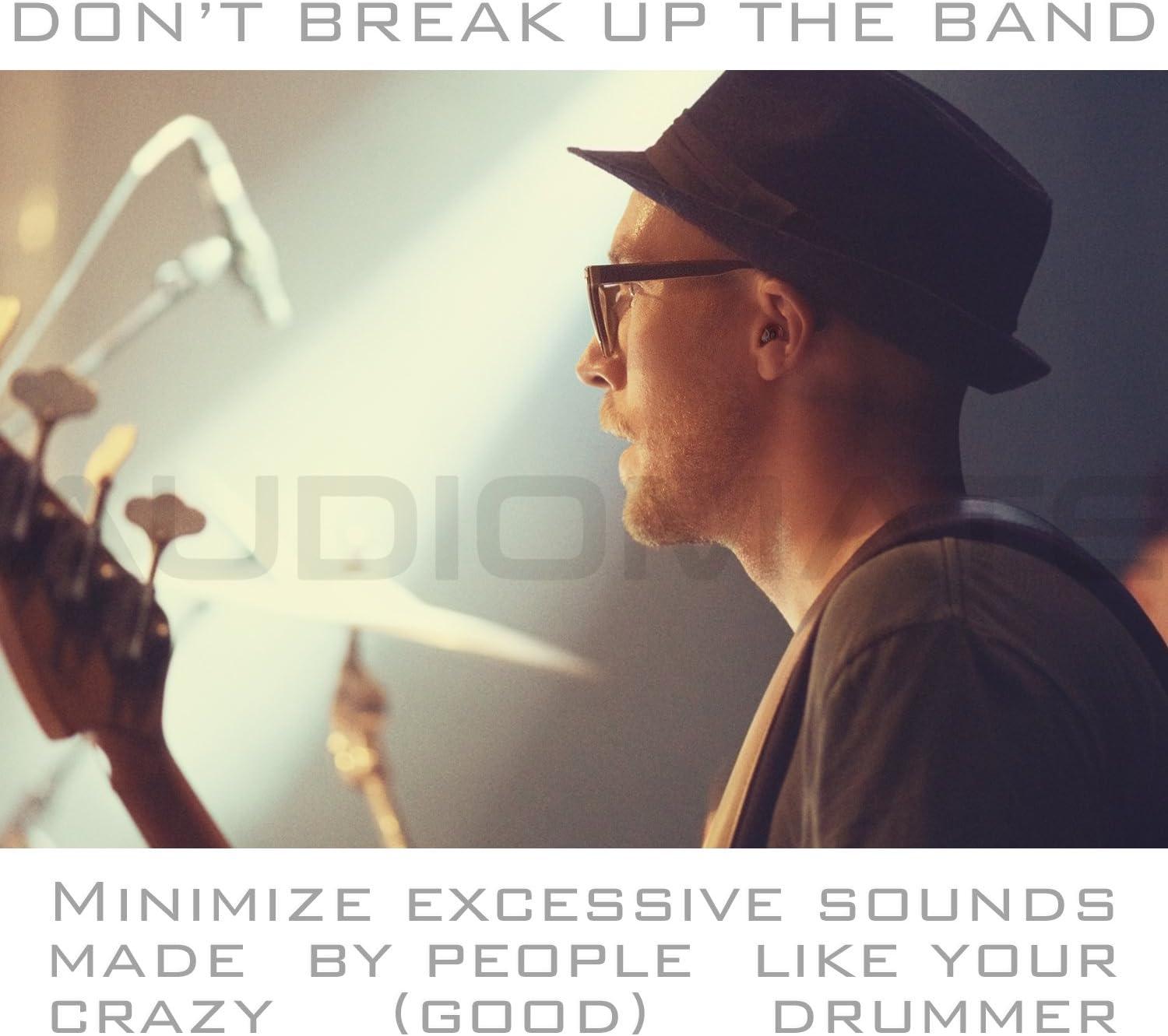 Audiomate HighFidelity Earplugs with Metal Keychain Carry Case and 2