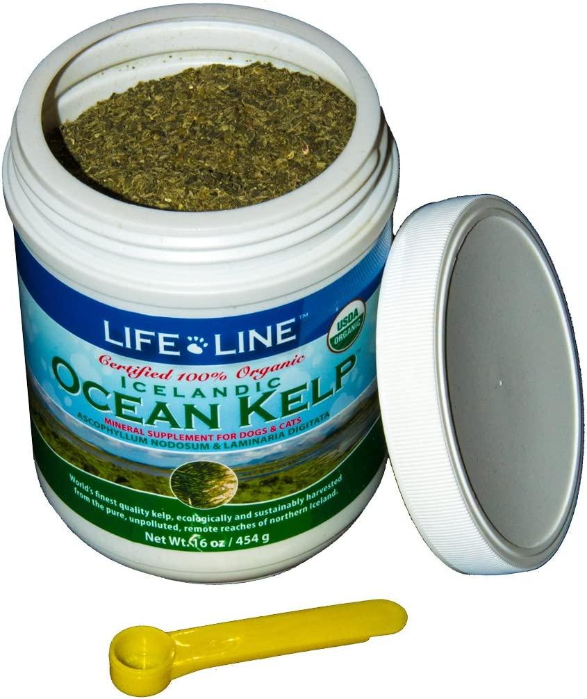 Life Line Pet Nutrition Organic Ocean Kelp Supplement for Skin