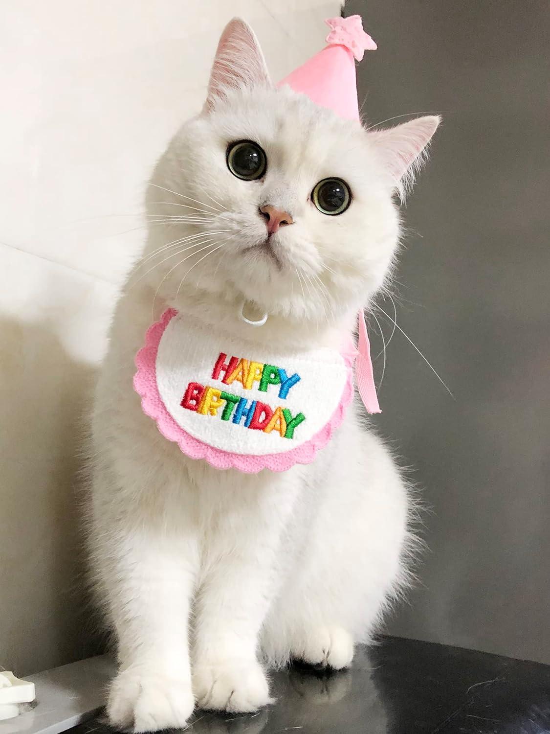 Cute Cat Dog Birthday Bavaglino E Cappello Da Festa Mini Doggy Cat Bandana Regolabile Sciarpa Asciugamano Saliva Pet Birthday Outf Fornure Per Cuccioli