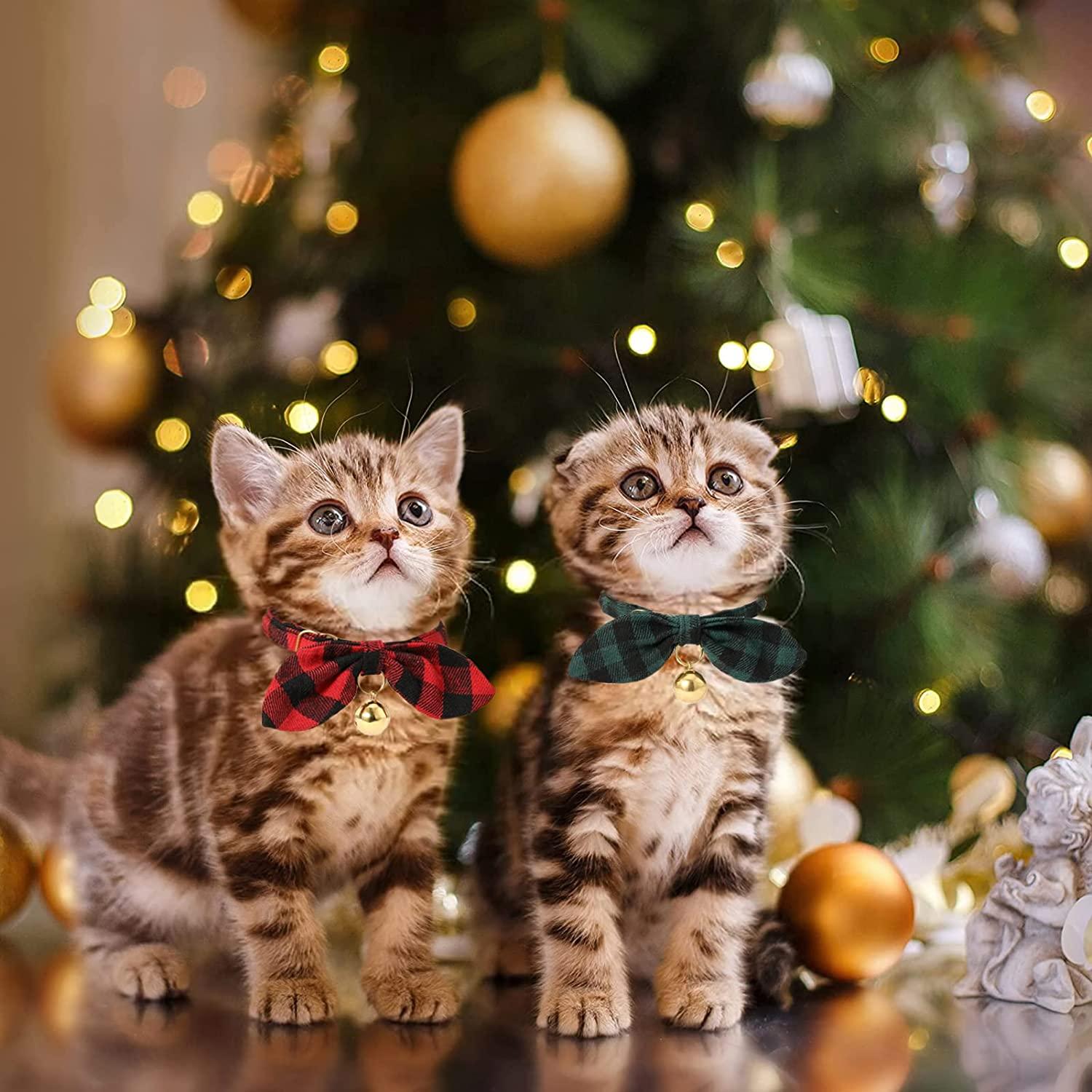 Cat christmas tie store