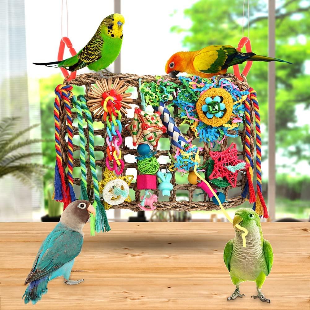 Bird Toys Foraging For
