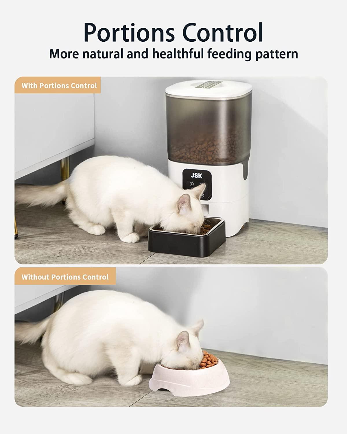 7 day hot sale cat feeder