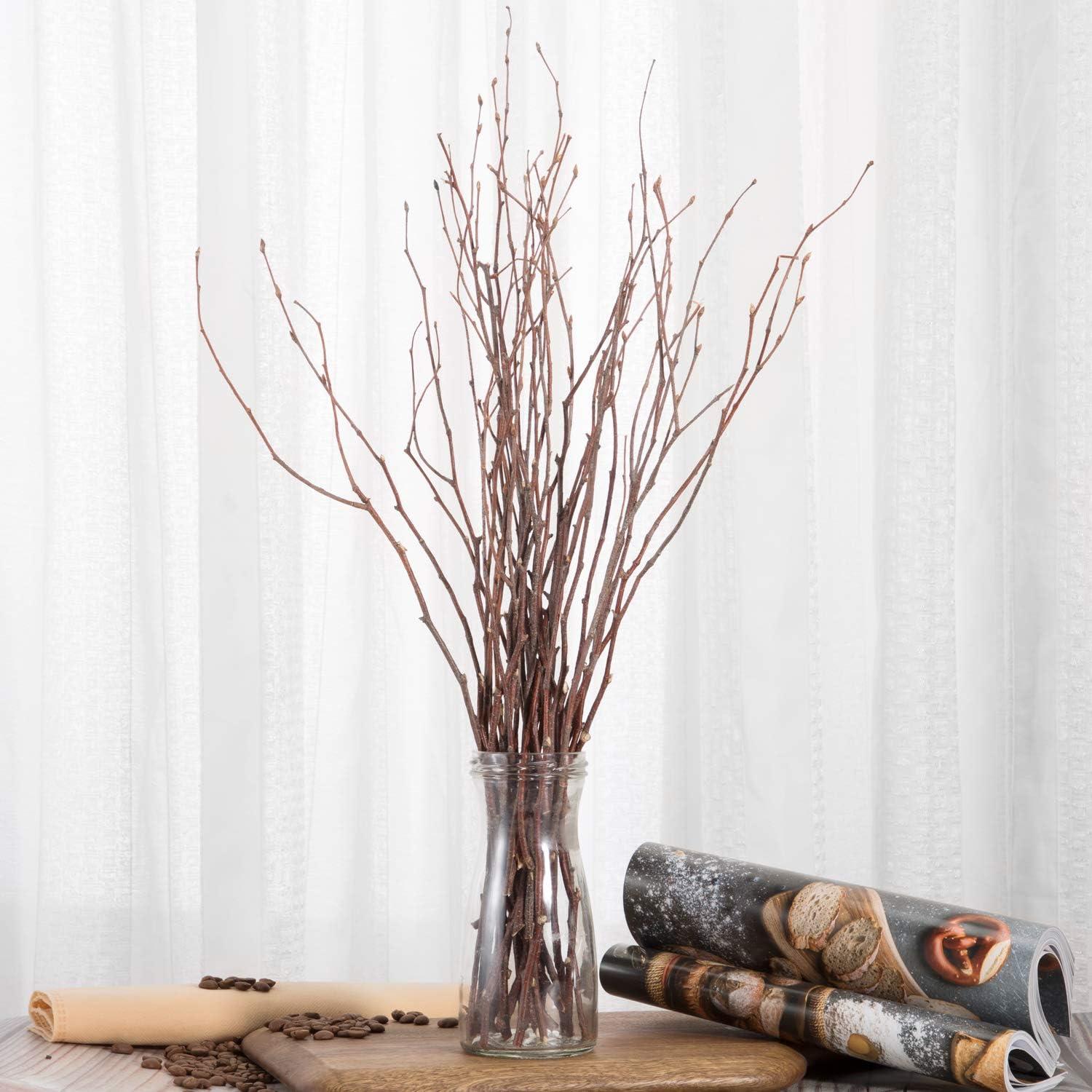 Alater 200pcs Birch Twigs 100% Natural Birch Branches for Decorating DIY Crafts Flower Arrangement Decorative Birch Sticks for Vase Centerpieces