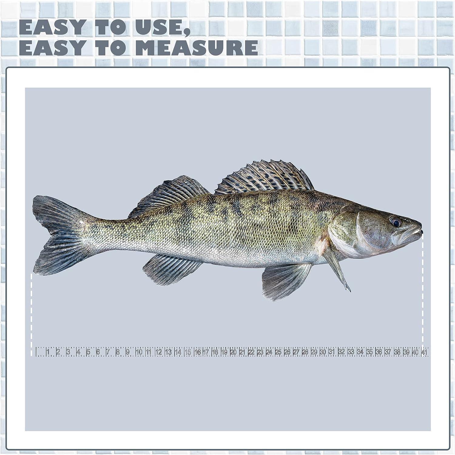 SAMSFX Fishing Self Adhesive Measuring Fish Ruler Tape Sticker