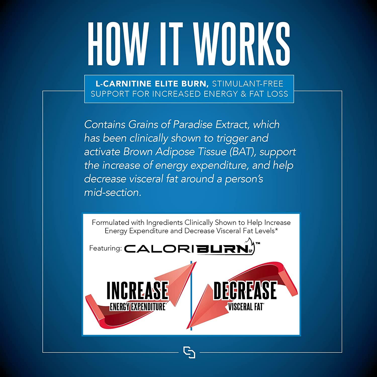 sst support burn l carnitine Performix SST Fat Burner