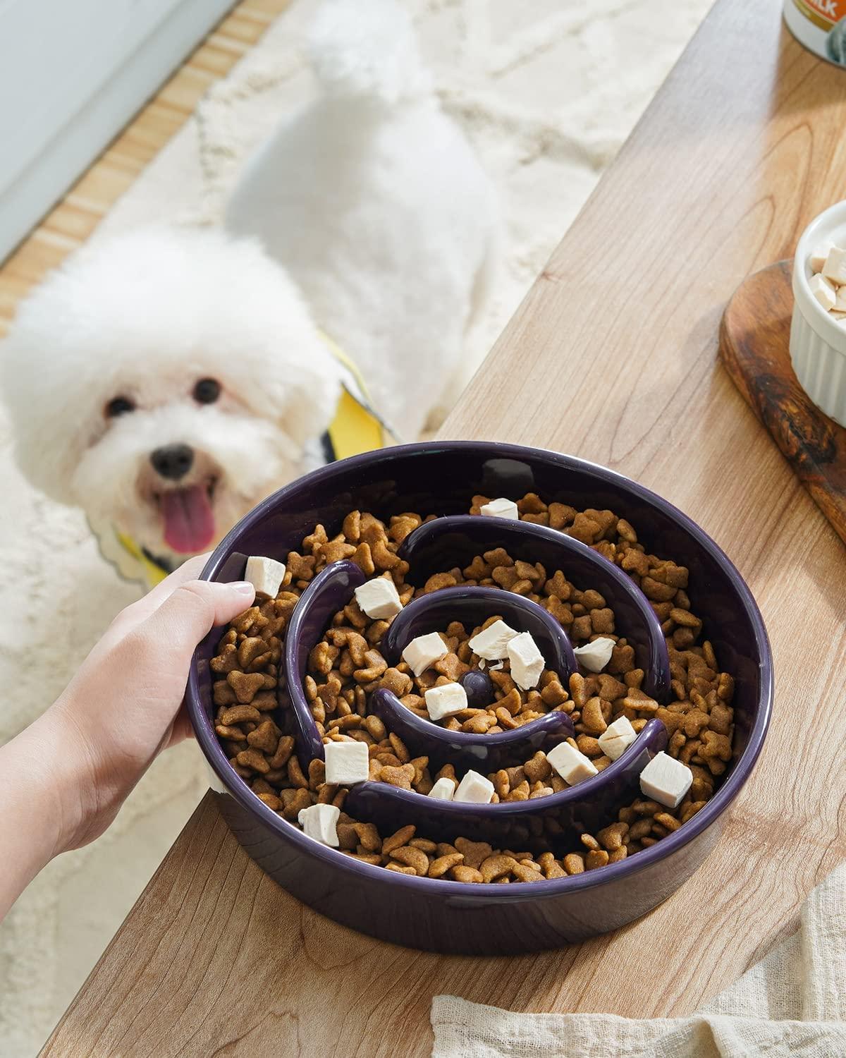 Slow Feeder Large Dog Bowls for Large Medium Dog Non Slip Maze