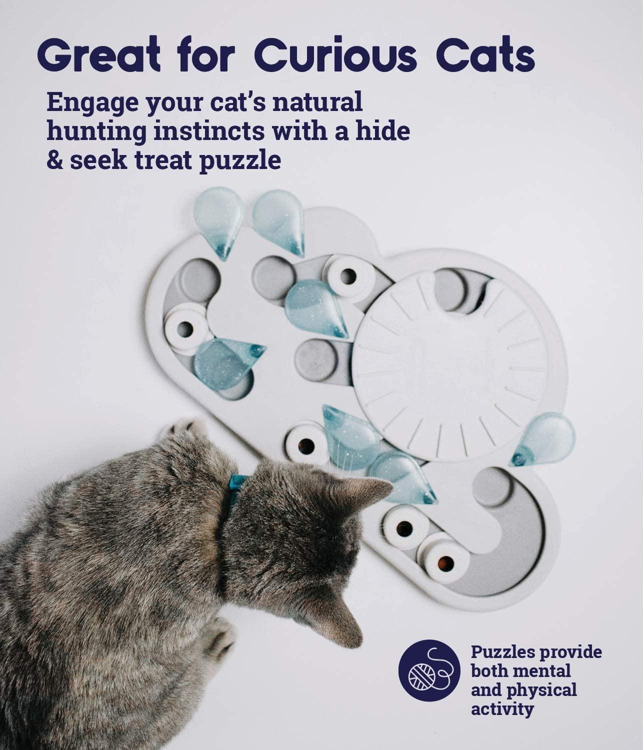 Nina Ottosson by Petstages Buggin' Out Puzzle & Play - Interactive Cat  Treat Puzzle 