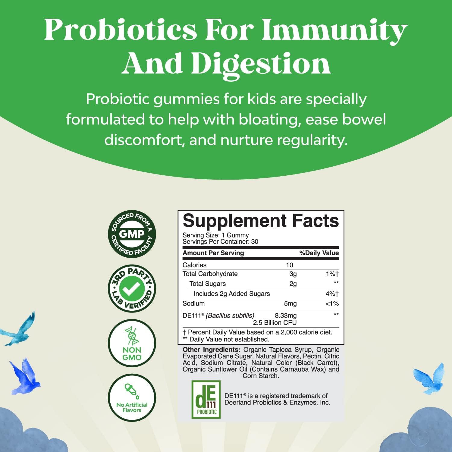 Immune Booster Kids Probiotic Gummies Bacillus Subtilis Probiotic for
