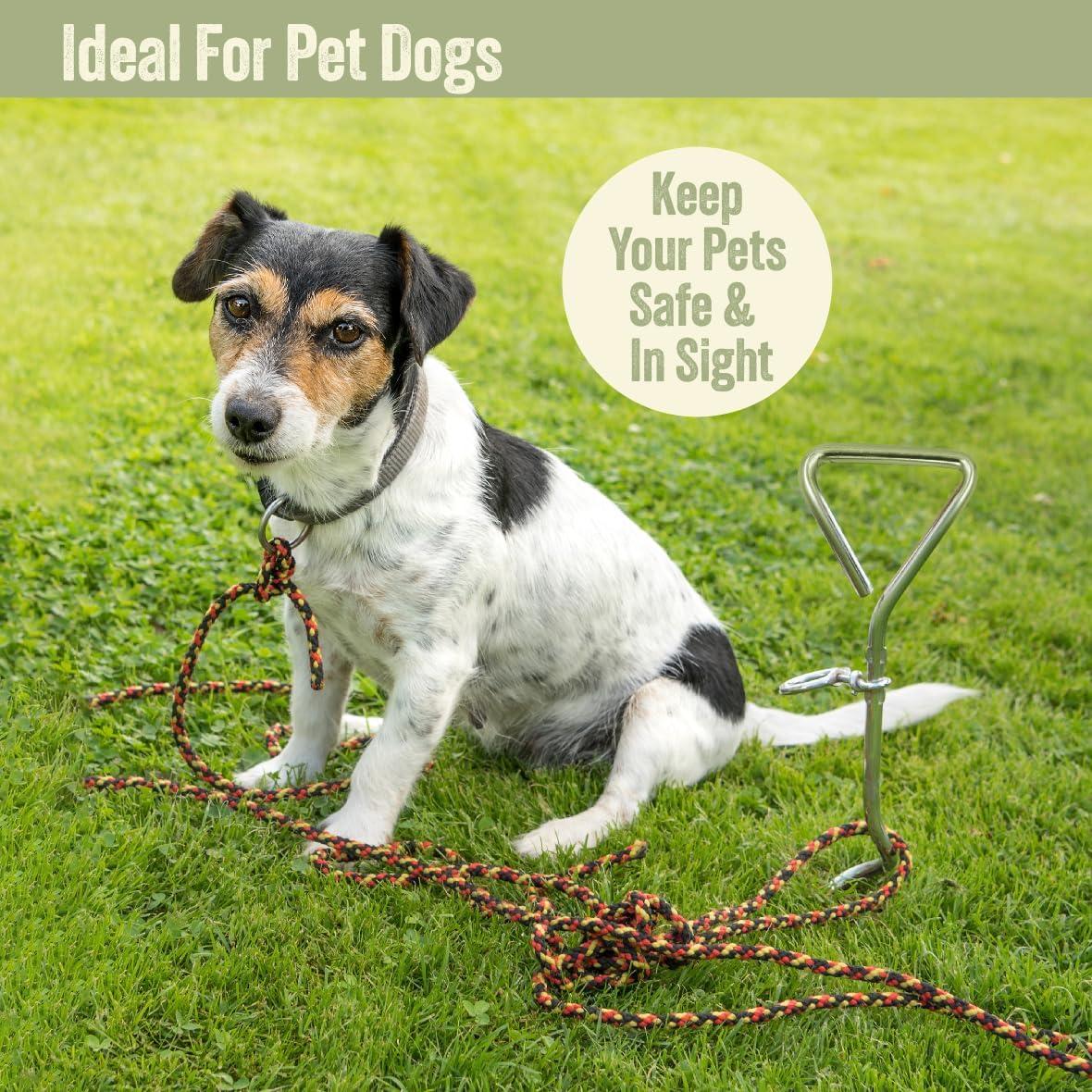 Milestone Camping 31690 Outdoor Corkscrew Tie Out Stake / Keyring  Attachment / Tether Pets and Tents / Ideal for Camping Hiking Fishing and  More | Buy Now with Express International Delivery | GoSupps.com