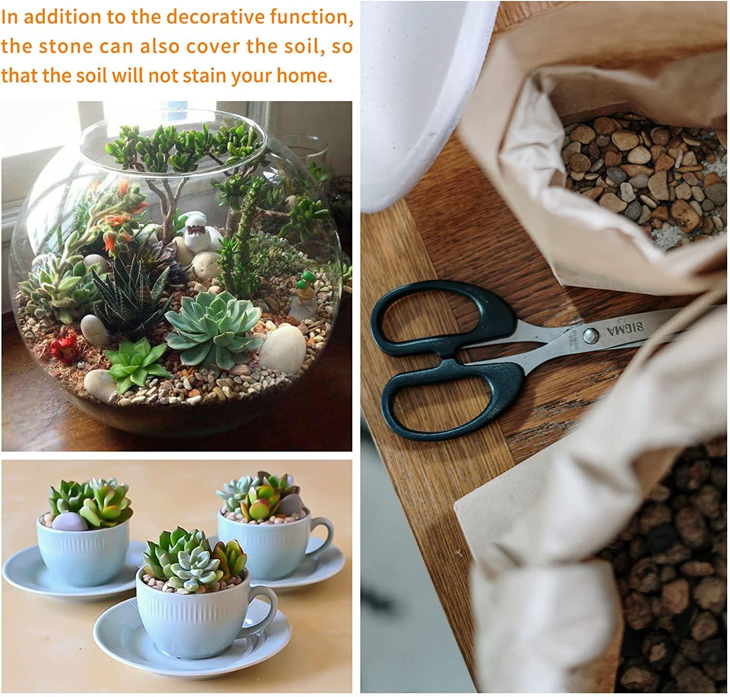 JINWOKEJI Natural Stone for Plants Small Decorative Mixed Color Pebbles