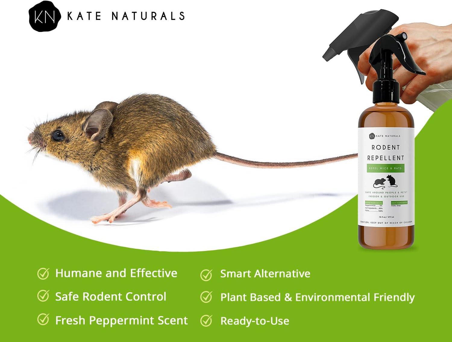 Rodent Repellent Spray with Peppermint Oil (16oz) by Kate Naturals