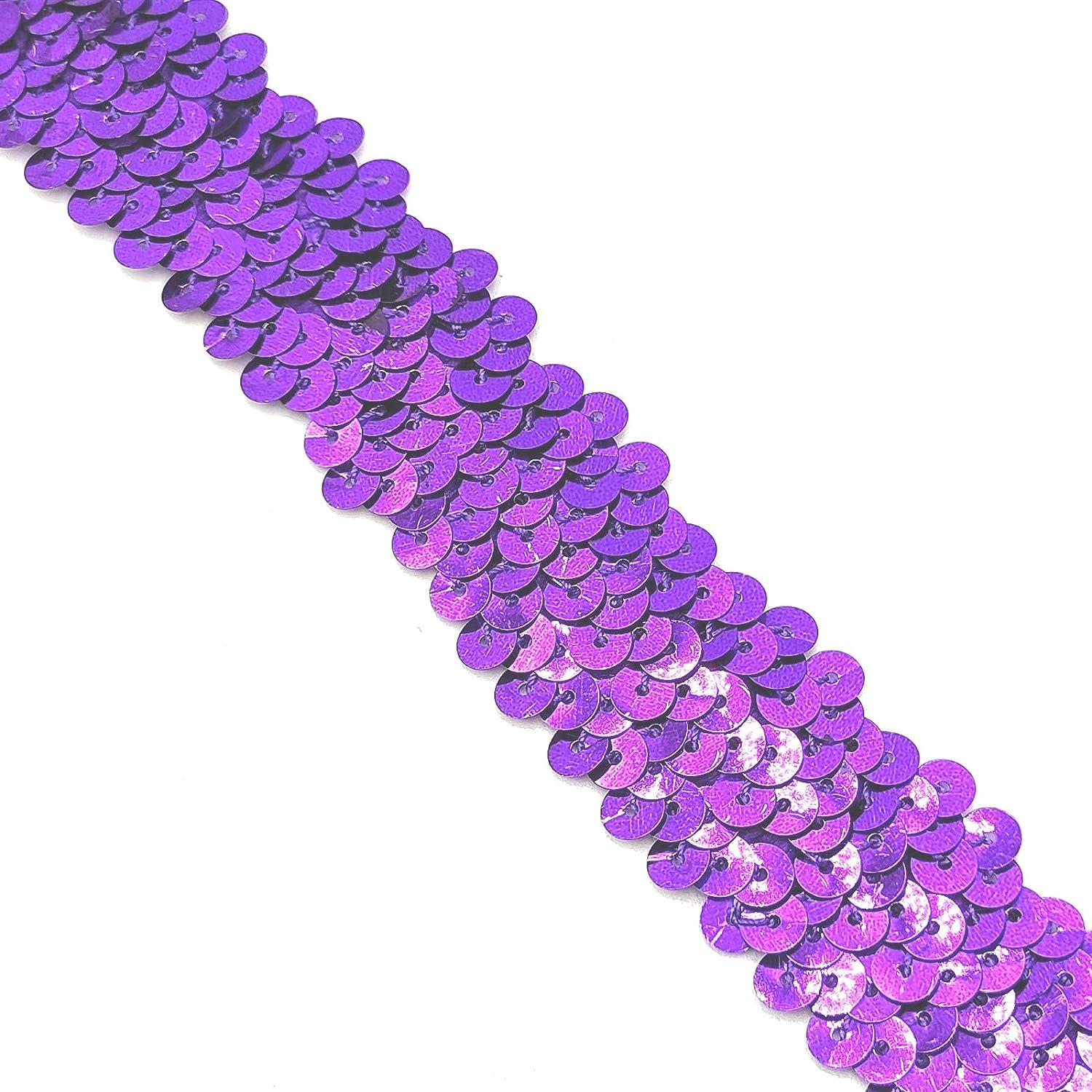 YOOGCORETT 2 Yards Dark Purple Elastic Sequin Ribbon Trim Glitter Metallic  Stretch Flat Sequin Ribbon Lace for Sewing, Dress Costume, Wedding Party  Embellishments and DIY Craft Supplies 30mm Dark Purple 30mm