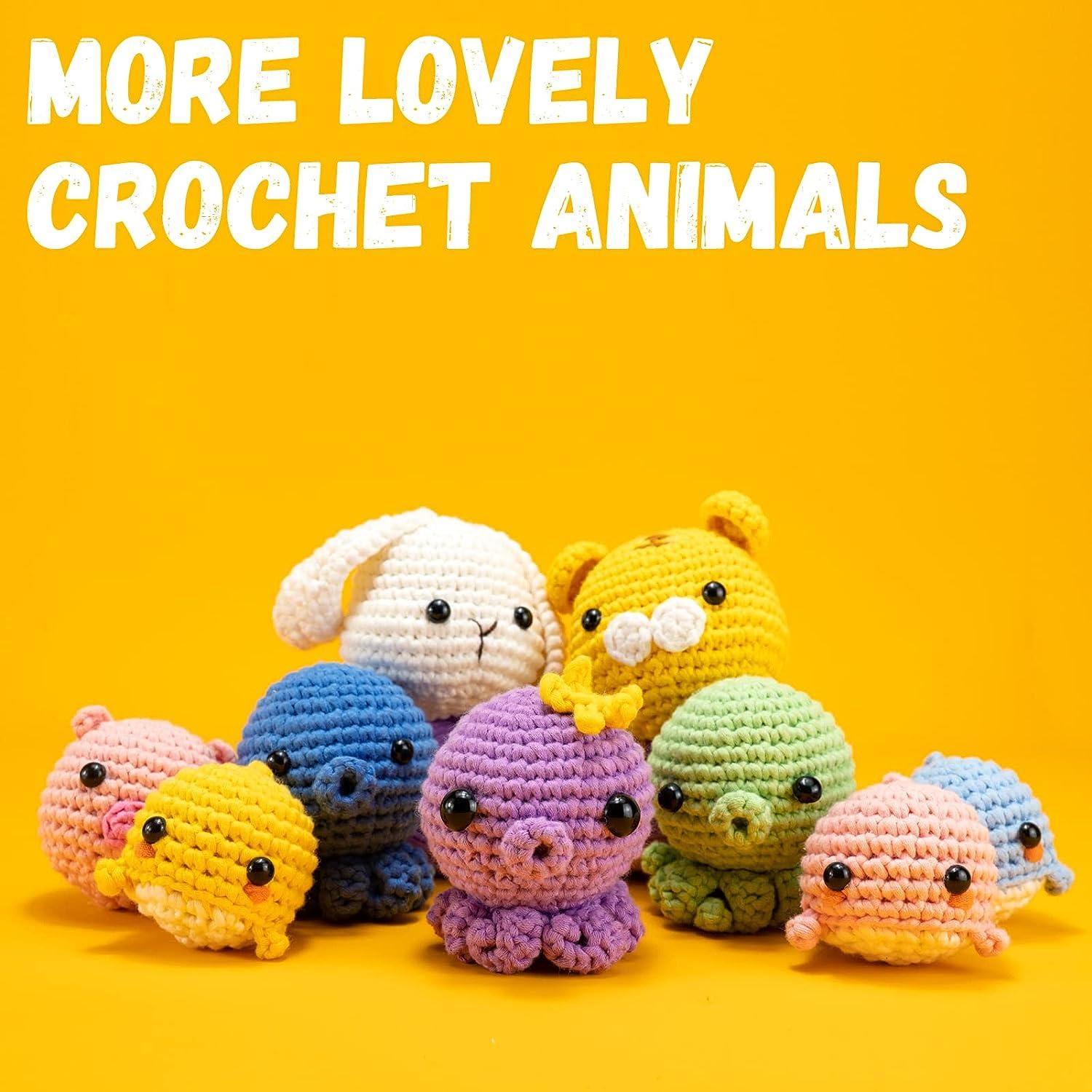 HEJIN Crochet Kit for Beginners, Beginner Crochet Kit for Adults Kids