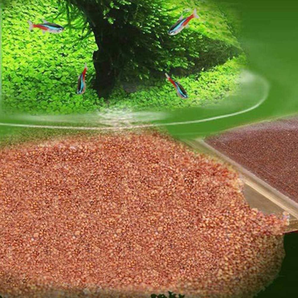 C-LARSS Freshwater Aquarium Carpet Seeds | Double Leaf Foreground Aquatic  Plant - 1 Bag for International Shipping | Buy Now with Express  International Delivery | GoSupps.com