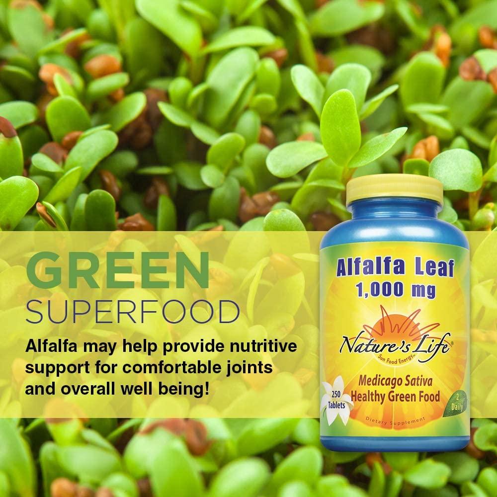 Natures Life Alfalfa Leaf Tablets 1000mg Vitamin Rich Green Superfood NonGMO 250 Count