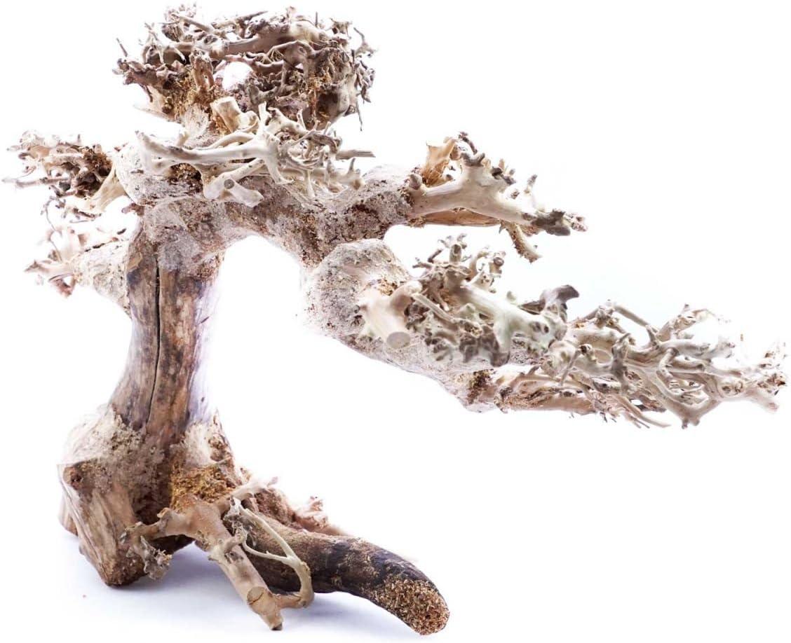Superfish Natural Wood Bonsai Driftwood Small 23x12x15
