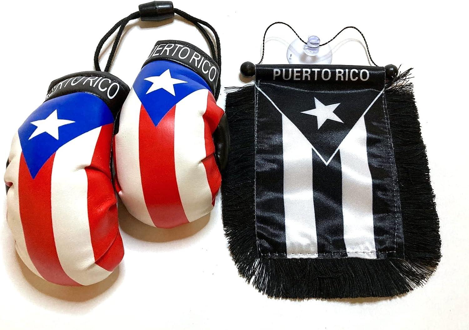 Window Home Décor Mirrors Puerto Rico Mini Banner Flag - 4"x6" Polyester, Great For Car Window, Mirror, Or Home Decor - Trade Winds Brand Car Window Hanging Flag - Foto 7