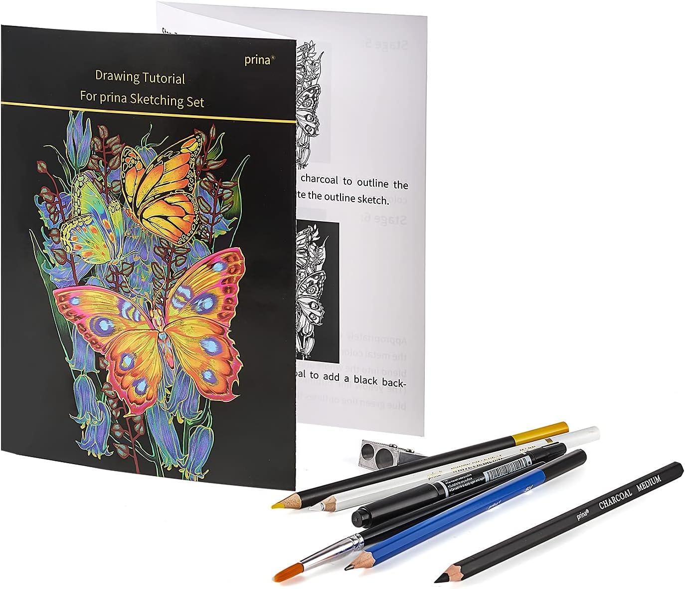 Prina 76 Pack Drawing Set Sketching Kit, Pro Art Sketch Supplies with  3-Color Sketchbook, Include Tutorial, Colored, Graphite, Charcoal,  Watercolor & Metallic Pencil, for Artists Adults Teens Beginner