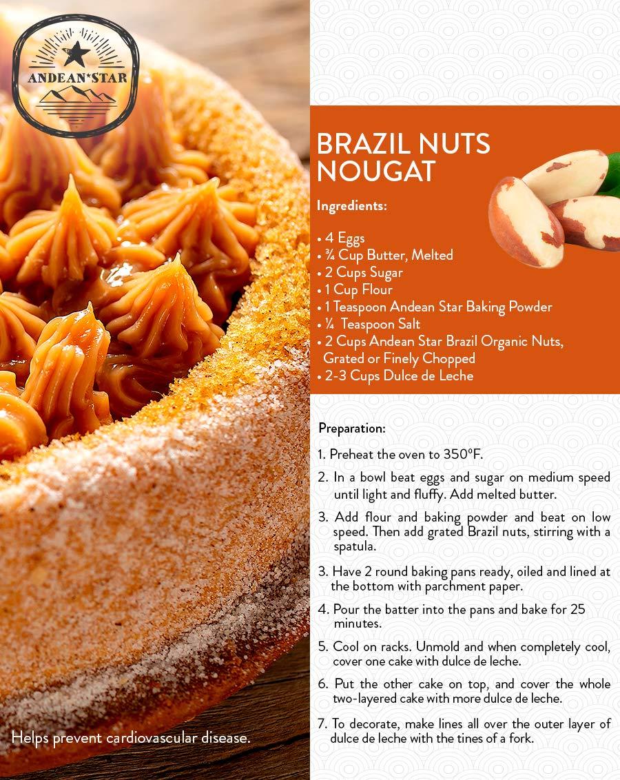 Andean Star Organic Brazil Nuts (16 oz.) Raw, fresh, No shell, Unsalted, hermeticallysealed