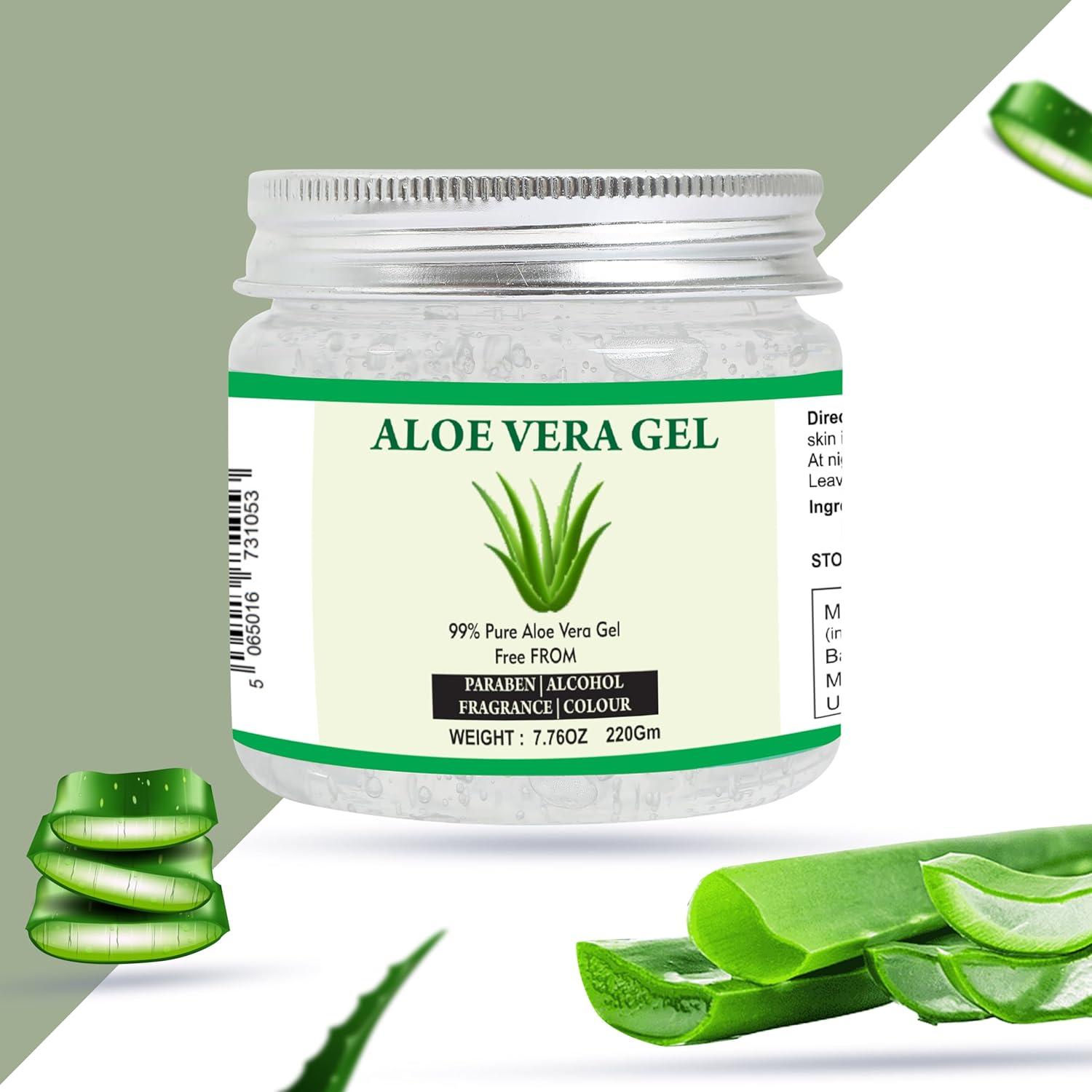 agave applanata Agave 'Cream Spike'- Shop Online at Planet Desert