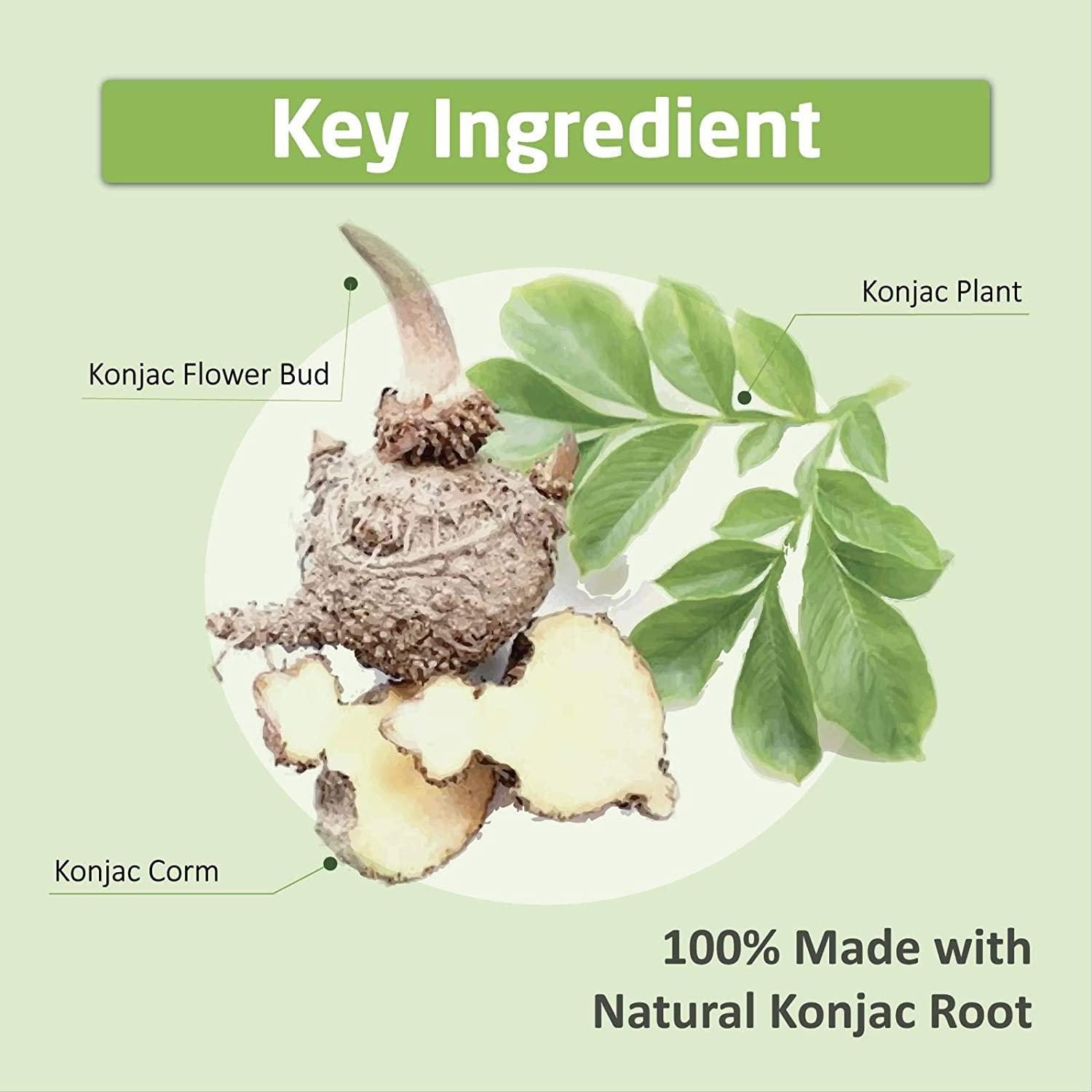 Caloless Noodles Zero Low Carb Konjac Shirataki Keto Instant Noodles