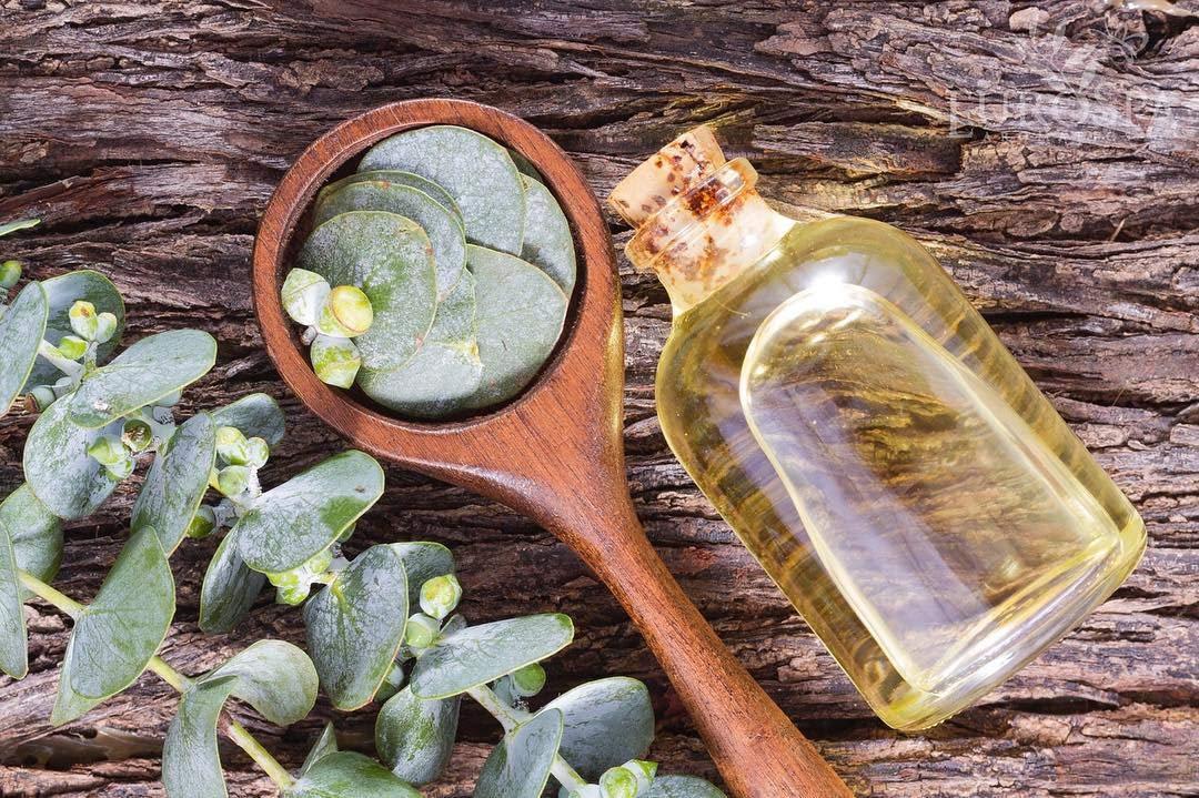 EuroSpa Aromatics Pure Eucalyptus Oil ShowerMist and Steam Room Spray, AllNatural Premium