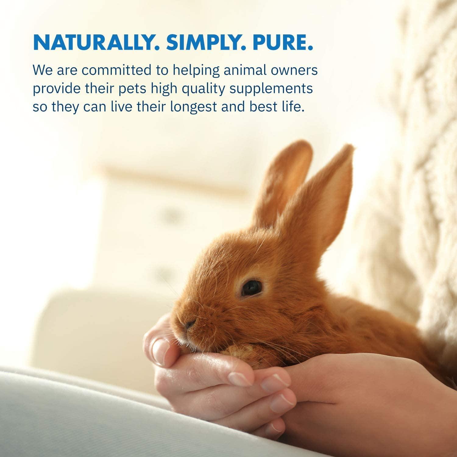Equa Holistics HealthyGut Probiotics for Rabbits AllNatural