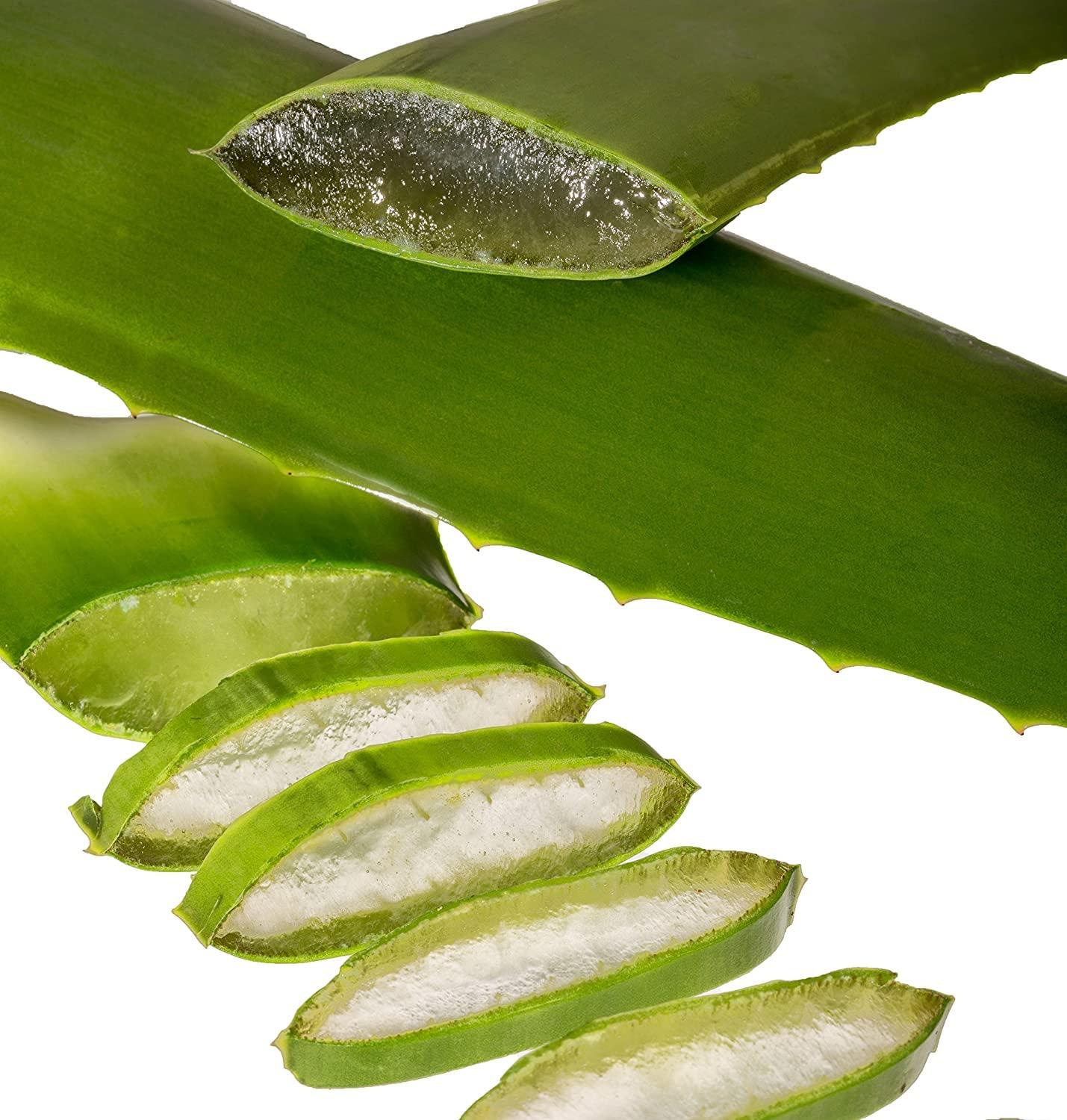 hbner aloe vera gel test Santaverde