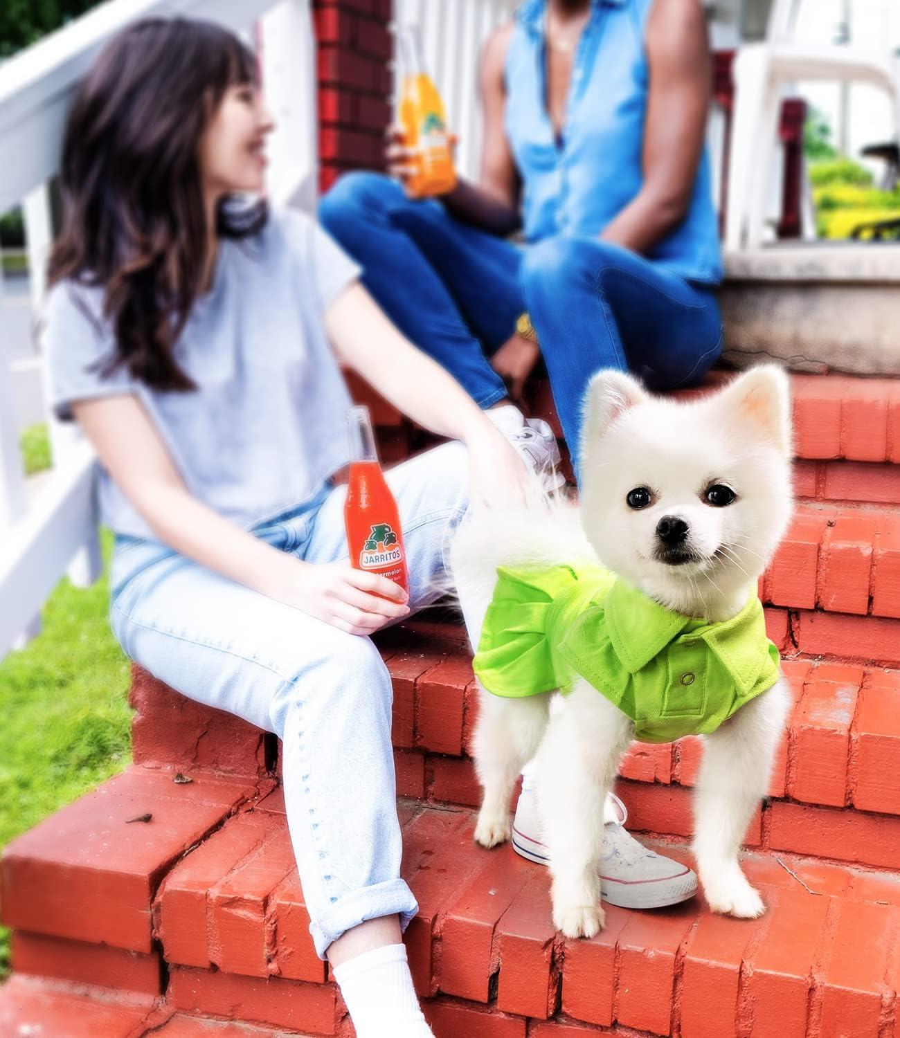 sage green dog dress Dog Green Floral Dress main image 0