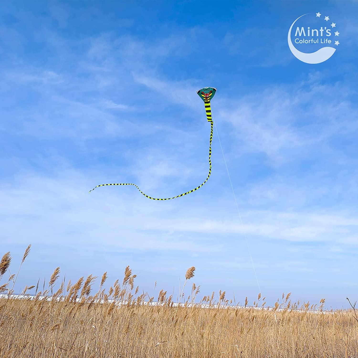 Large Cobra Kite for Adults Kids Boys with Super Long Tail (49 ft