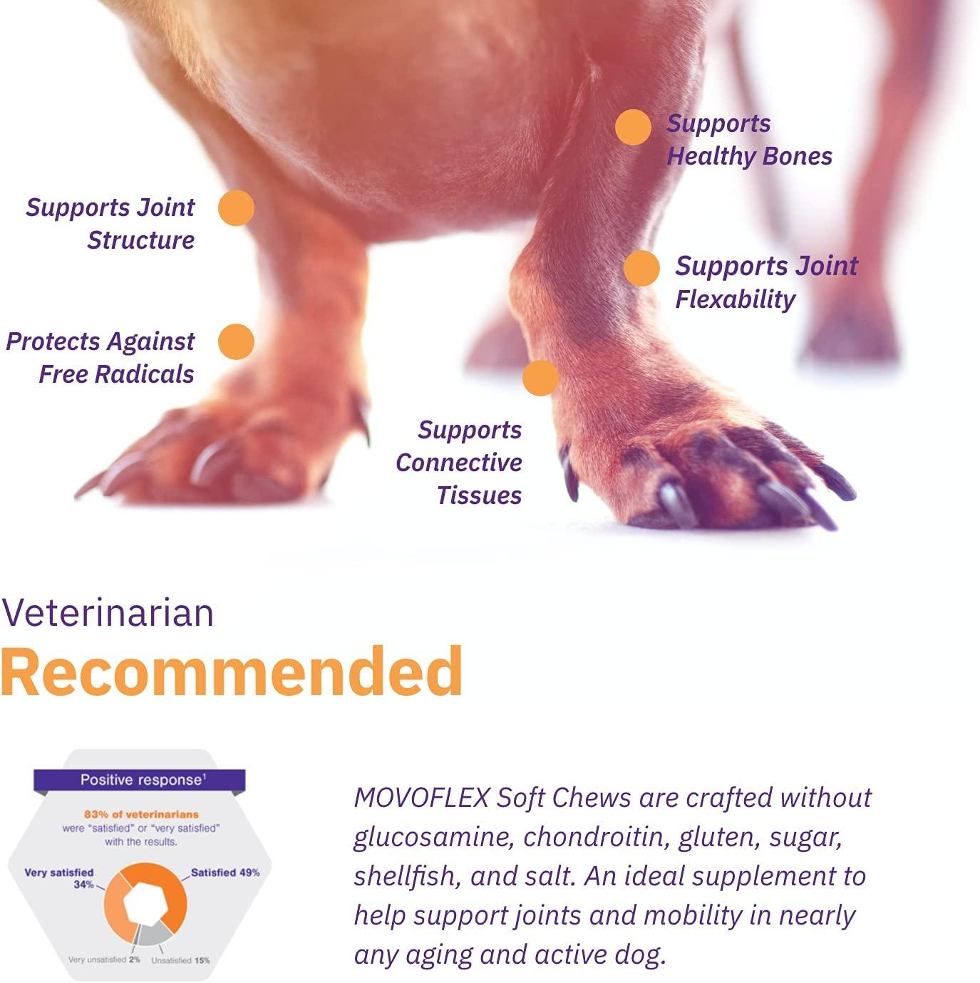 MOVOFLEX Dog Hip & Joint Support for Dogs Veterinarian Formulated Dog