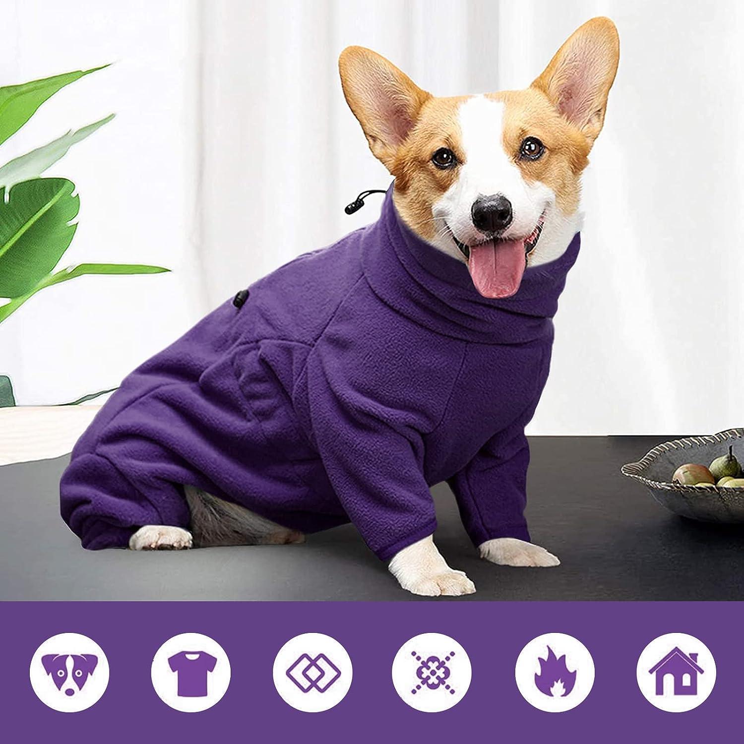 Fleece Dog Bodysuit - Apparel - Sweater