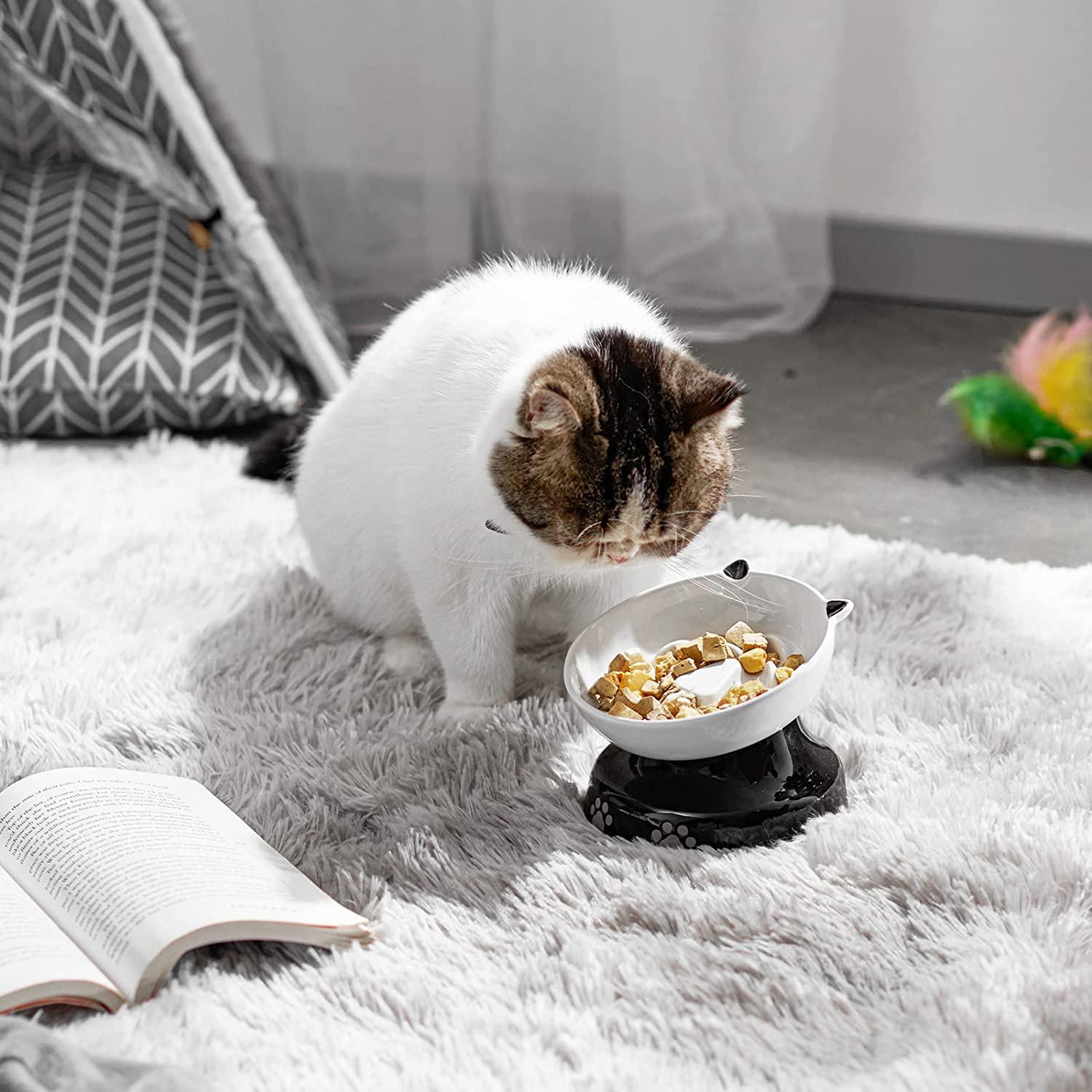 Slow Feeder Cat Bowl, Elevated Cat Food Bowl Tilted Design