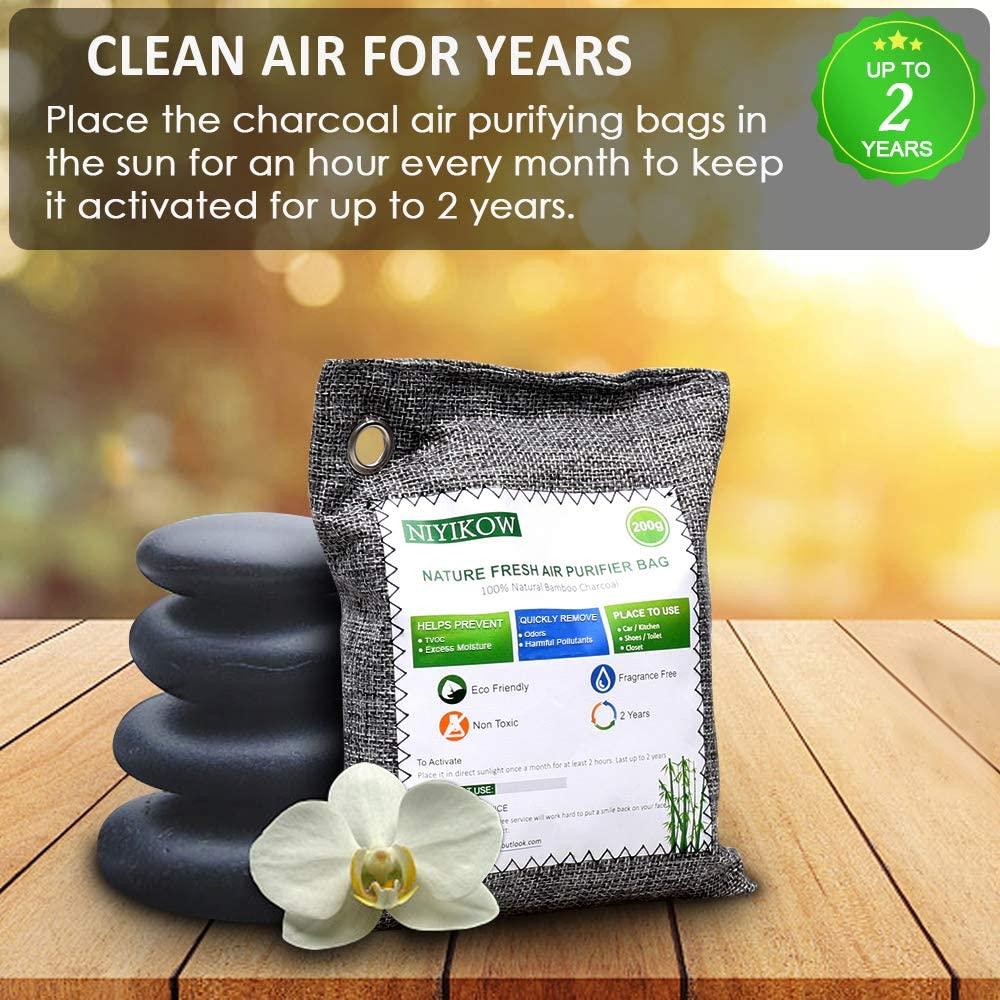 Charcoal air cleaning deals bags