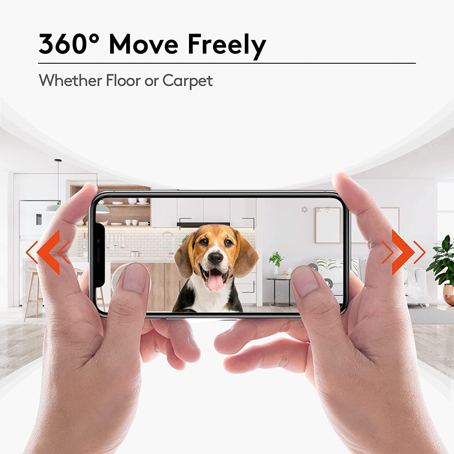 Dog treat video camera clearance