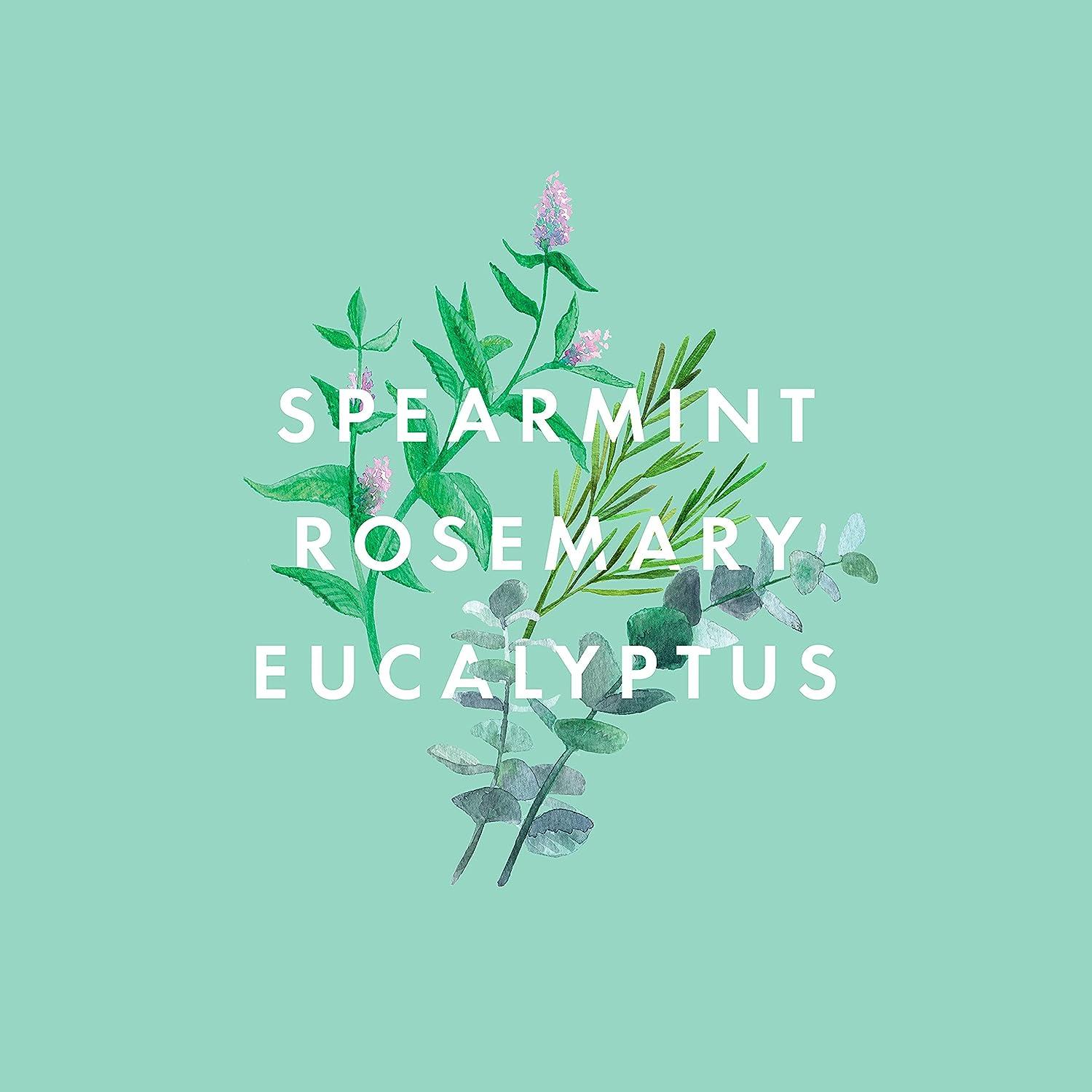 Neom Super Shower Power Body Cleanser Shower Gel 500ml Spearmint