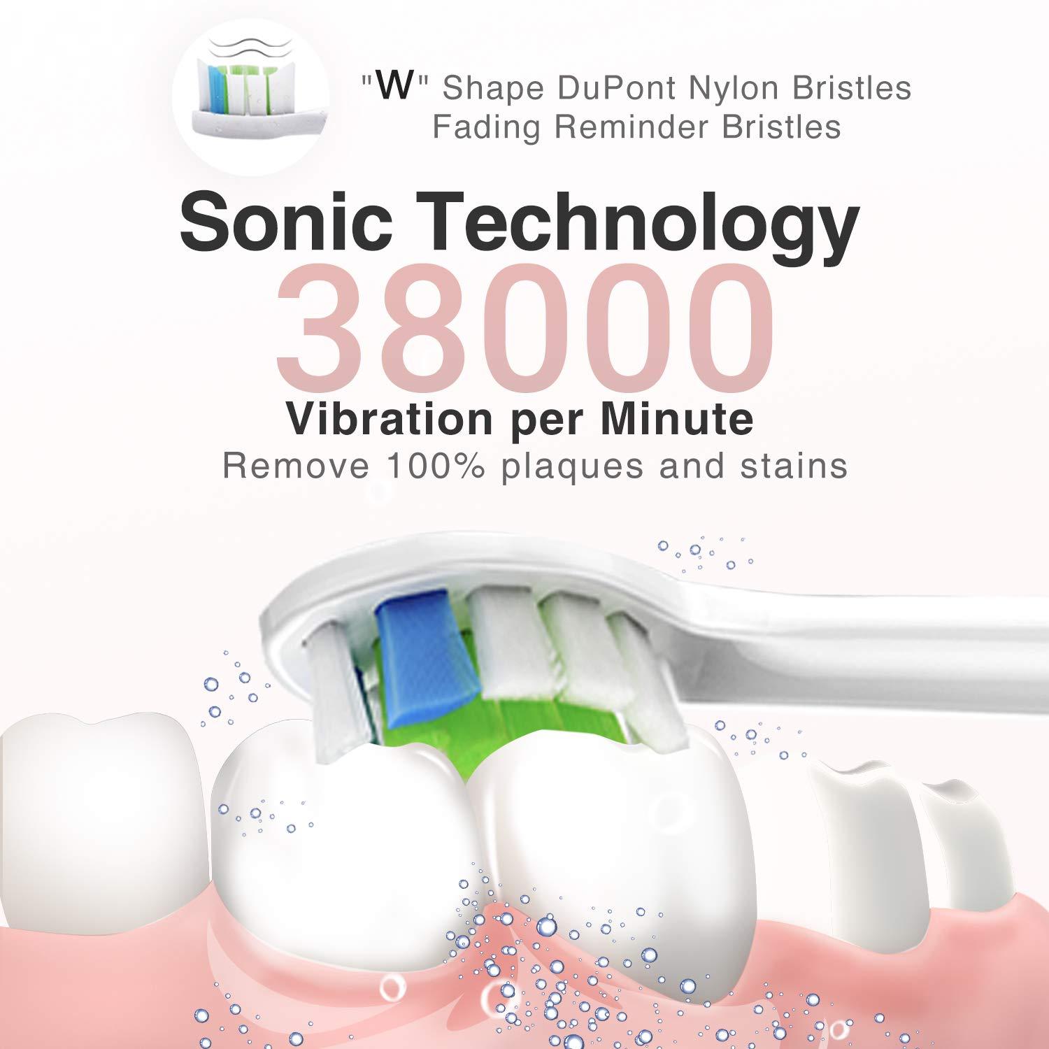 Hanasco Sonic Electric Toothbrush Rechargeable for Adults, 4 Modes with