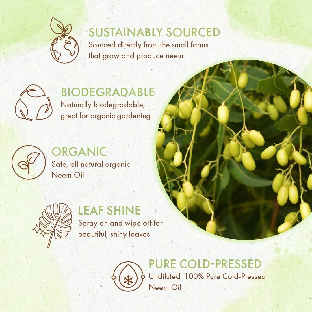 Organic Neem Oil Pure Concentrate, Cold Pressed for Plants Indoor and