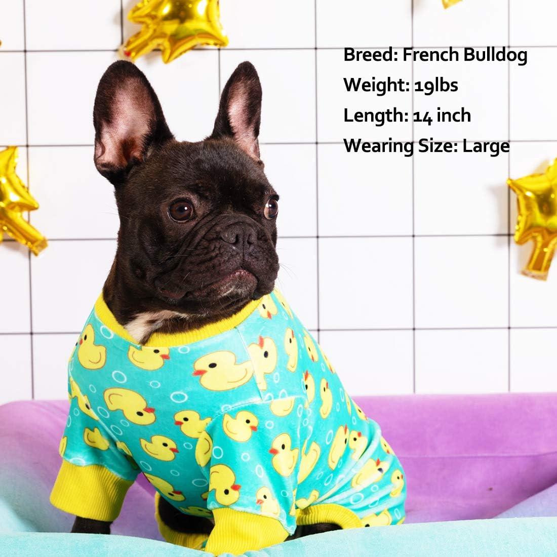 Dog in duck pajamas clearance