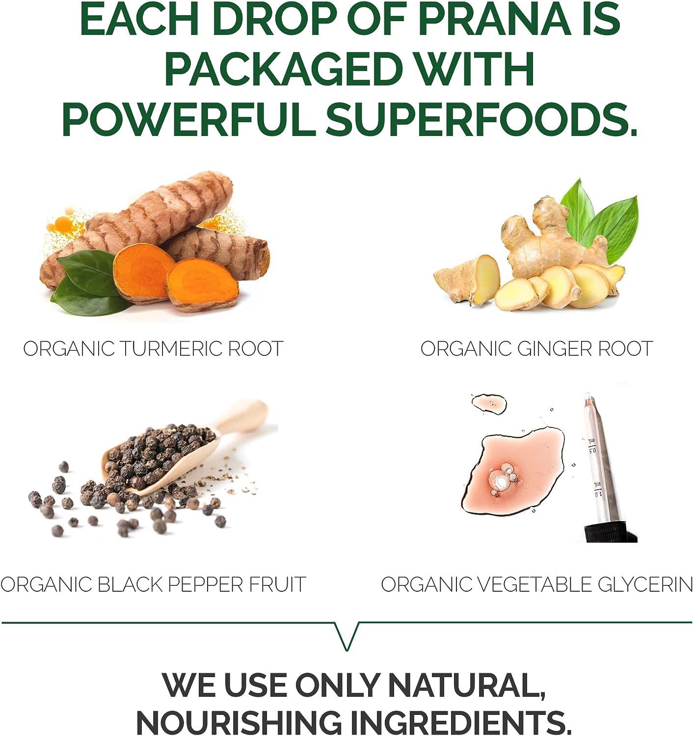 Leefy Organics PRANA The Original Organic Liquid Turmeric Curcumin