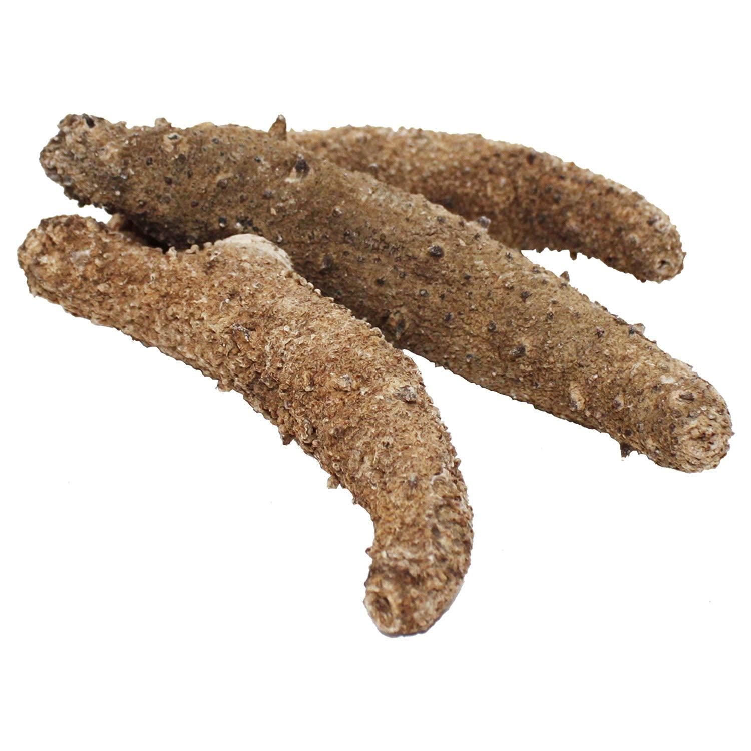 DOL Wild Alaska Red Sea Cucumber Dried Large 1lb Bag 1 Pound Pack