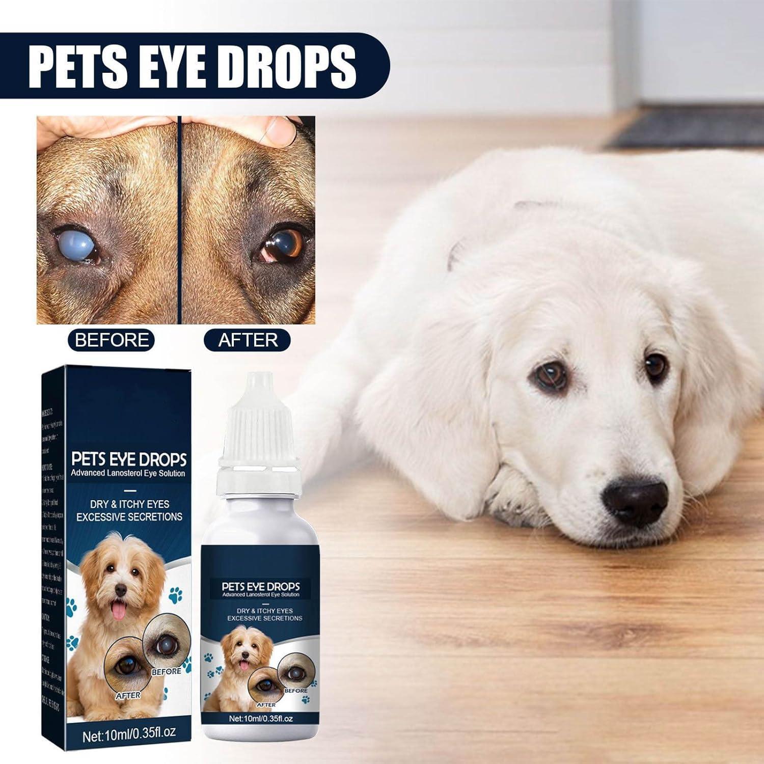 couples best vibrator Advanced Eye Drops;Cataract Drops For Pets;Eye Lubricating Drops For Dog &  Cats Mild Ingredients In Eye Tissue And Muscles10ml – buy the best products  in the Ayzeze online store main image 0