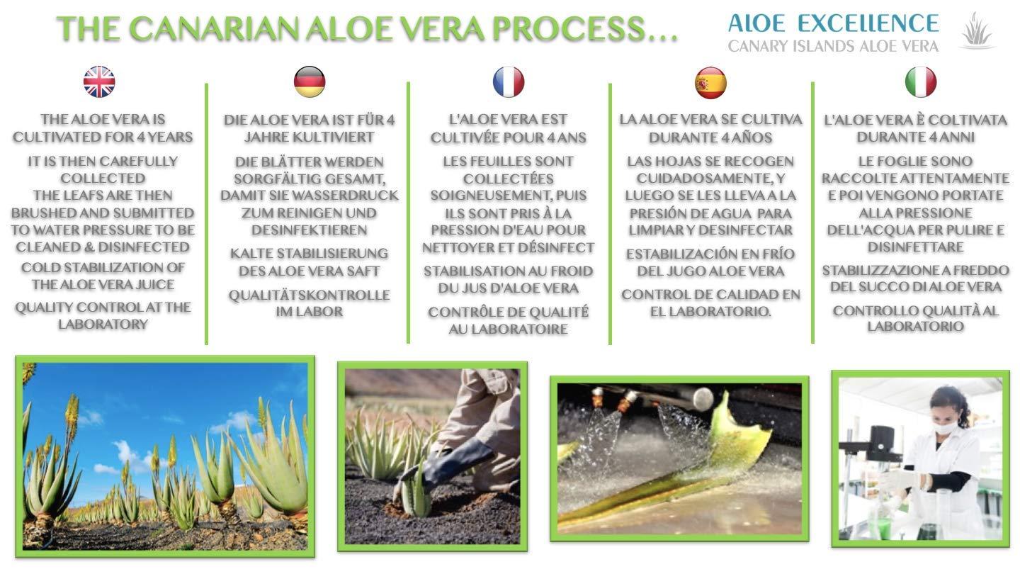 colibri aloe vera spray Buy Colibri Rollon and Spray - Set of 4 main image 0